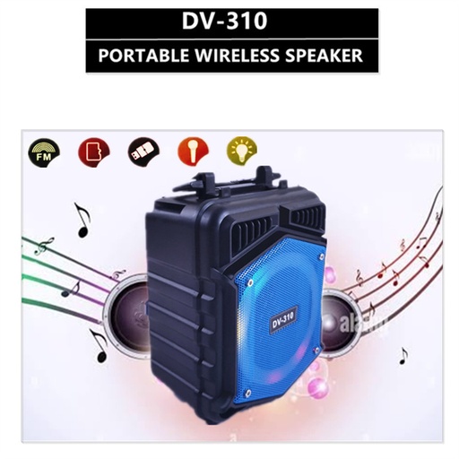 Altavoz inalámbrico portátil DV-309/310/305